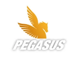HILOS-PEGASUS.webp